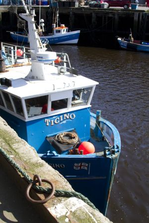 walkworth grange  fish quay 26 sm.jpg